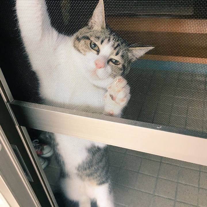 F73c156b ed0c 4395 b652 c329904bba69