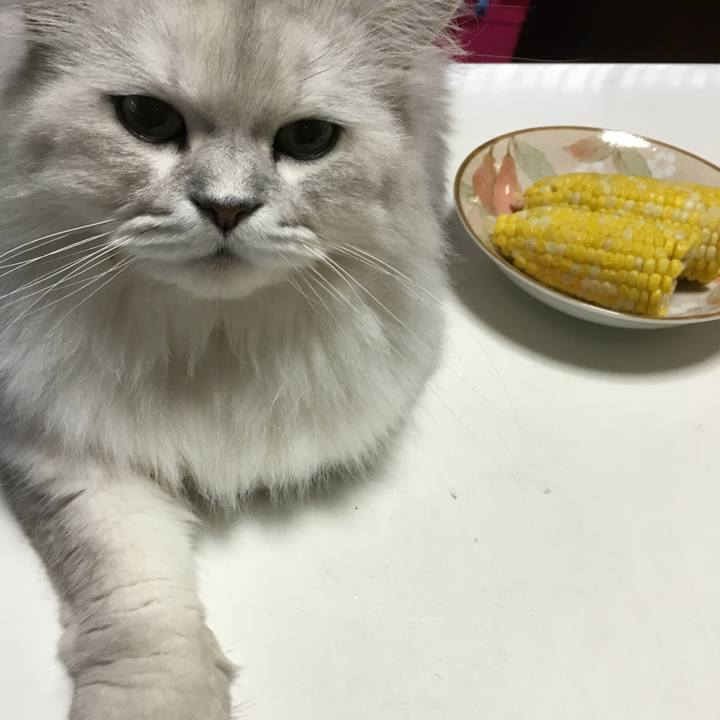 F73c8717 fa95 4a73 9c87 024250597783