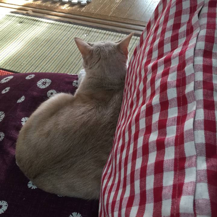 F73d4dbf e789 453a 94cb dc5f54b8e999