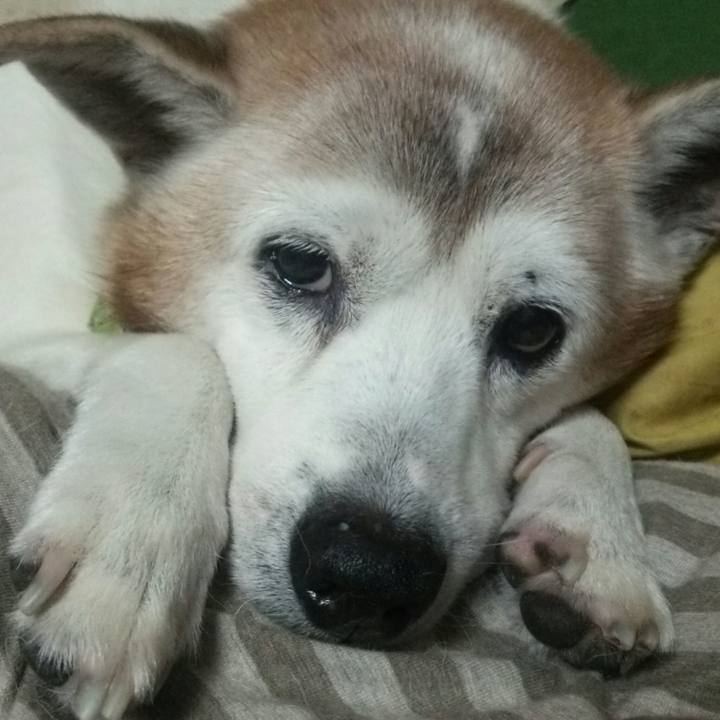 F73dd257 98e7 4cfb b253 7e77fd5741f0