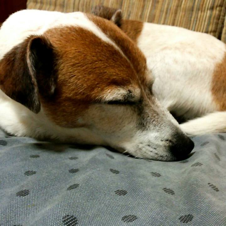 F73e29ee 6d73 4503 95be 86a1b61dd570