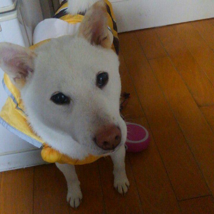 F73e91e5 f608 4cea b6c7 5390543c3b3d