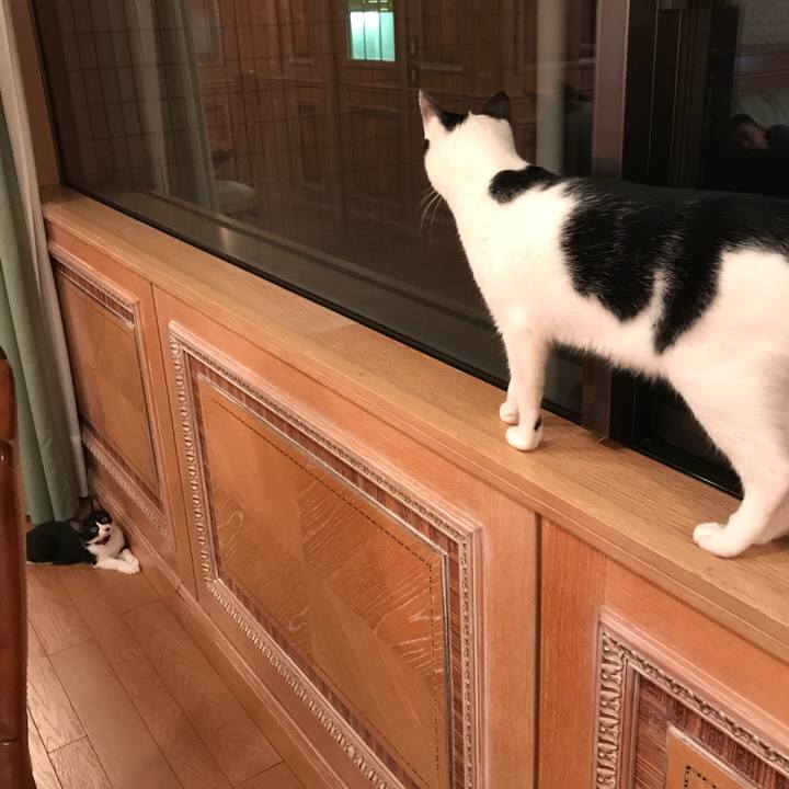 F73ef1c7 8caf 44fd 8aa2 691986543b84