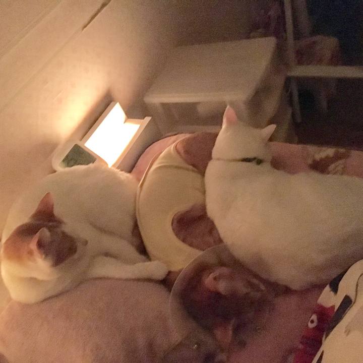 F73efcfc 3d3a 460e bcad dfbe74c4527f