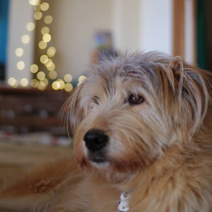 F73f3d25 5b59 4622 a320 f4b4034d2506