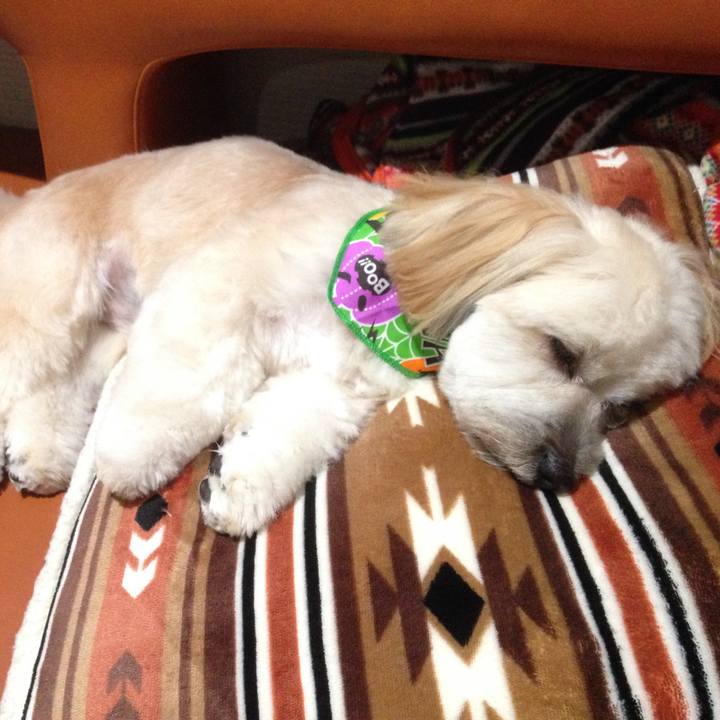 F73f917b a76d 47ff 8fde 590aed9c3120