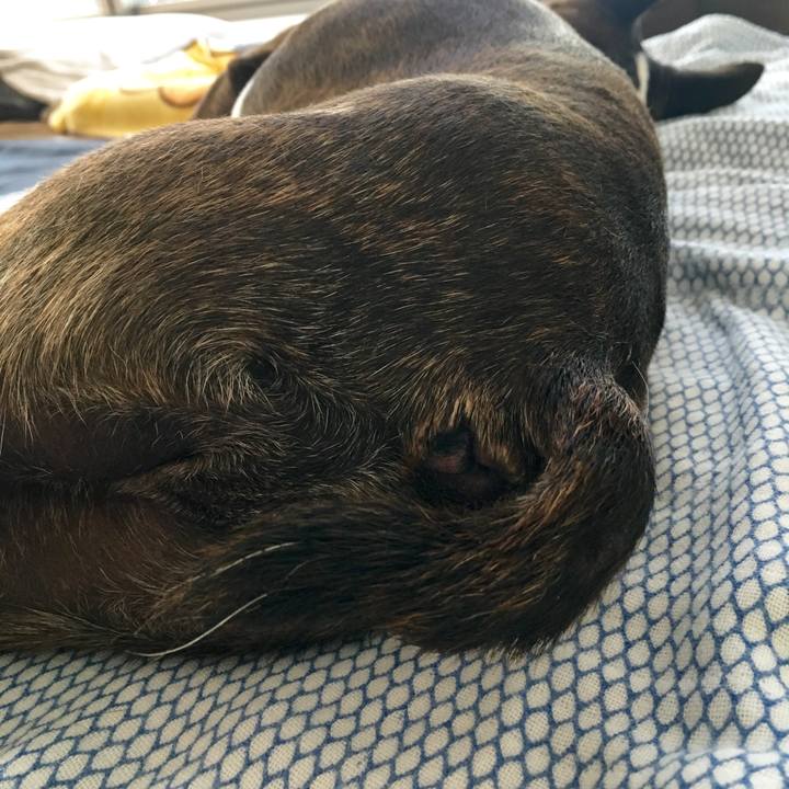 F73fba2b e73e 4780 b10c 8a60c260cb1e