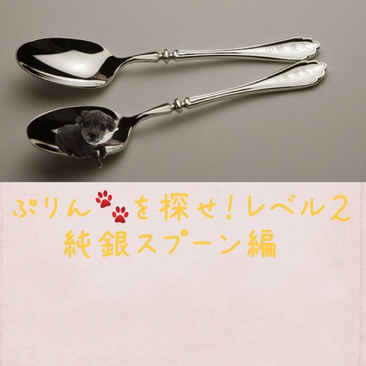 F73fc7ae ddfc 449b 9b73 d99404cd9d1b