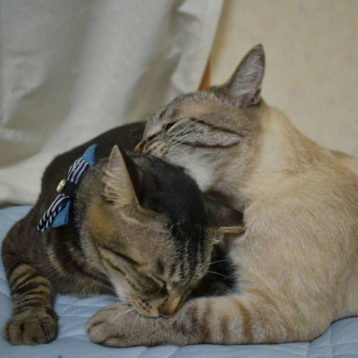 F7400306 609e 42a3 9319 8e8b8db2a008