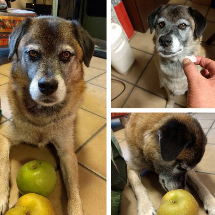 F740206d aa76 4c75 a007 e6826ea7ff12