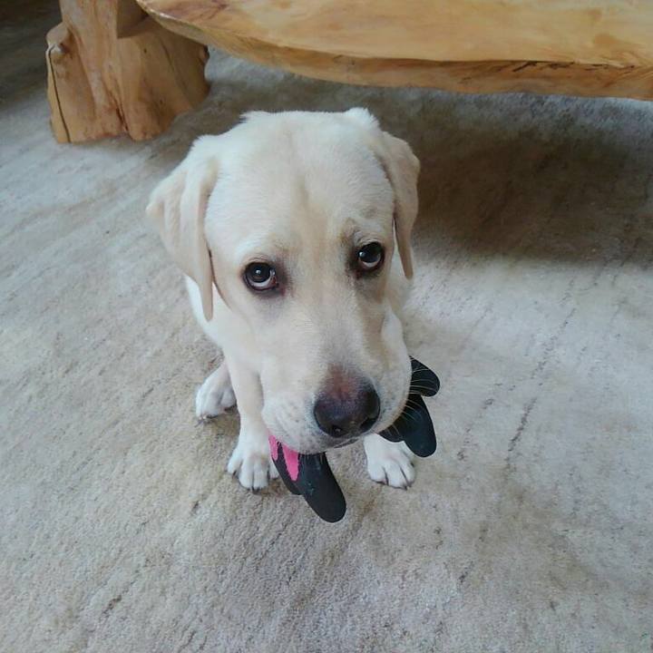 F740ab5e 9928 442e 80f6 c7b025947624