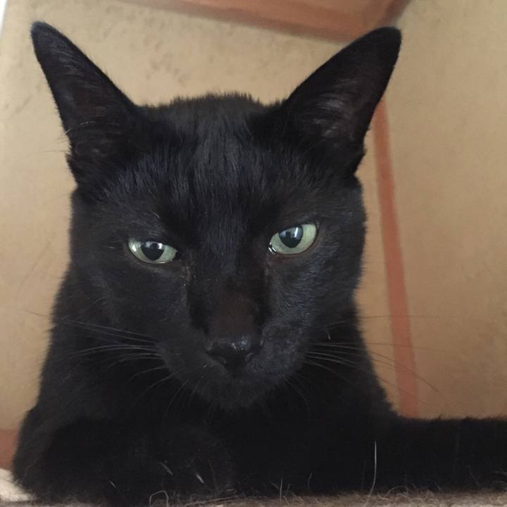 F7411640 b271 4ba4 bf34 06a19d5ffdec