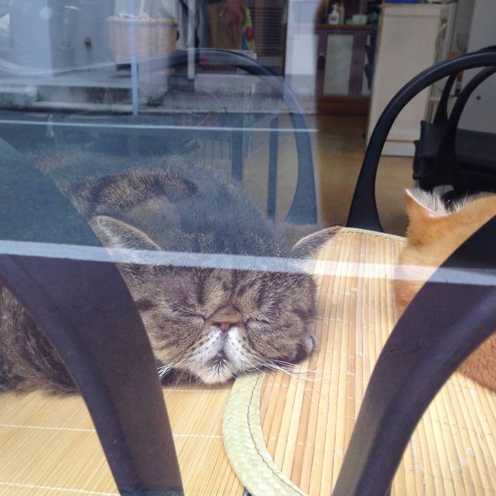 F74123fa 96ce 42ad 9440 6b85986d2bba