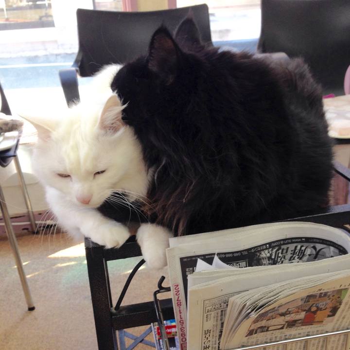 F7413ff4 a1eb 4520 852a c119f065d478