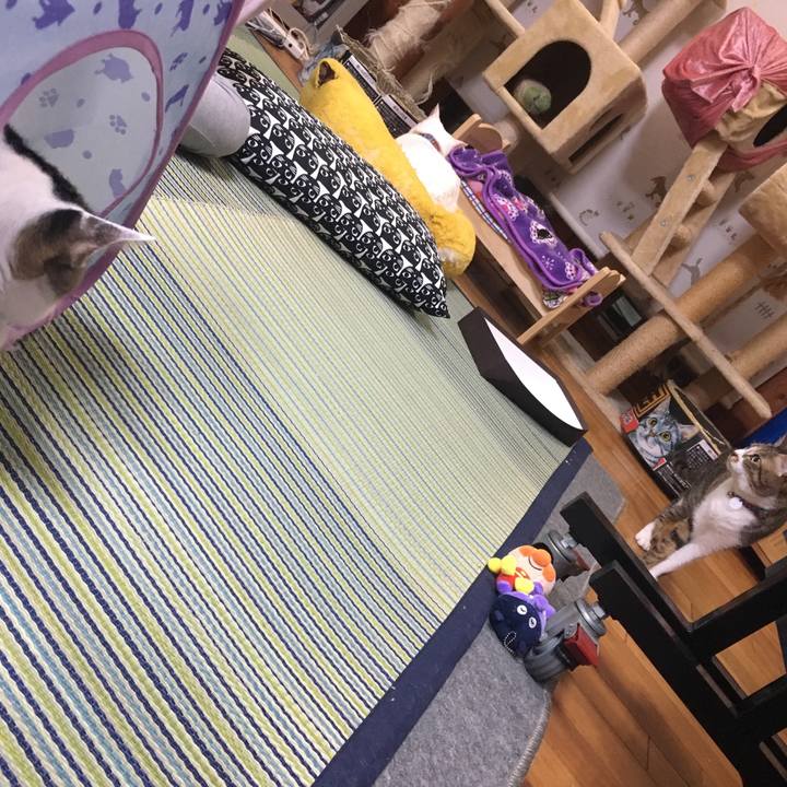 F74141e5 19a9 4390 92fd 7e22bbabfa1f