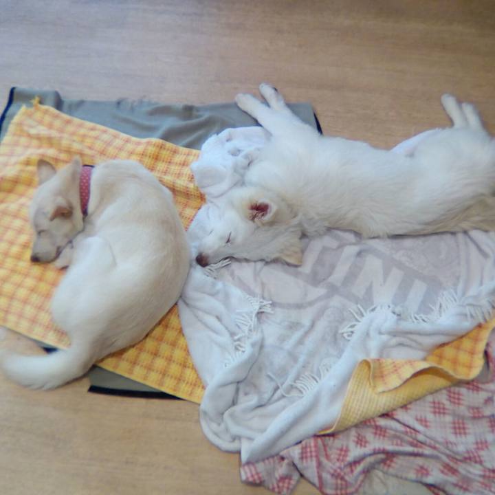 F741723c 231d 405a ac36 227e440e6f21