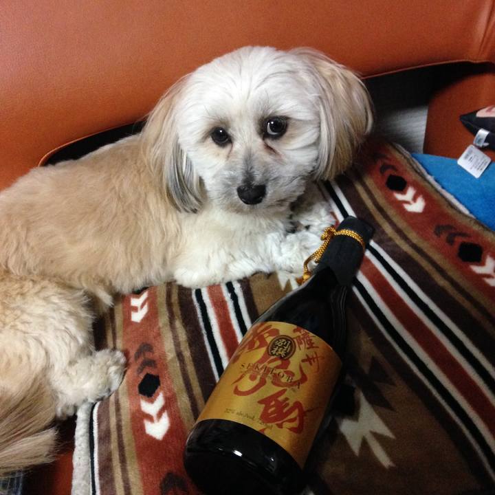 F7417b94 b6ae 4a7c 948f d2aa38432988