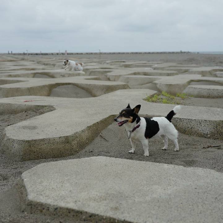 F741adc2 5d7b 450e 8369 5d308c4aab0d