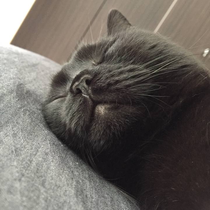 F741f662 0161 4c9f 99bb 8ead2ee736c6