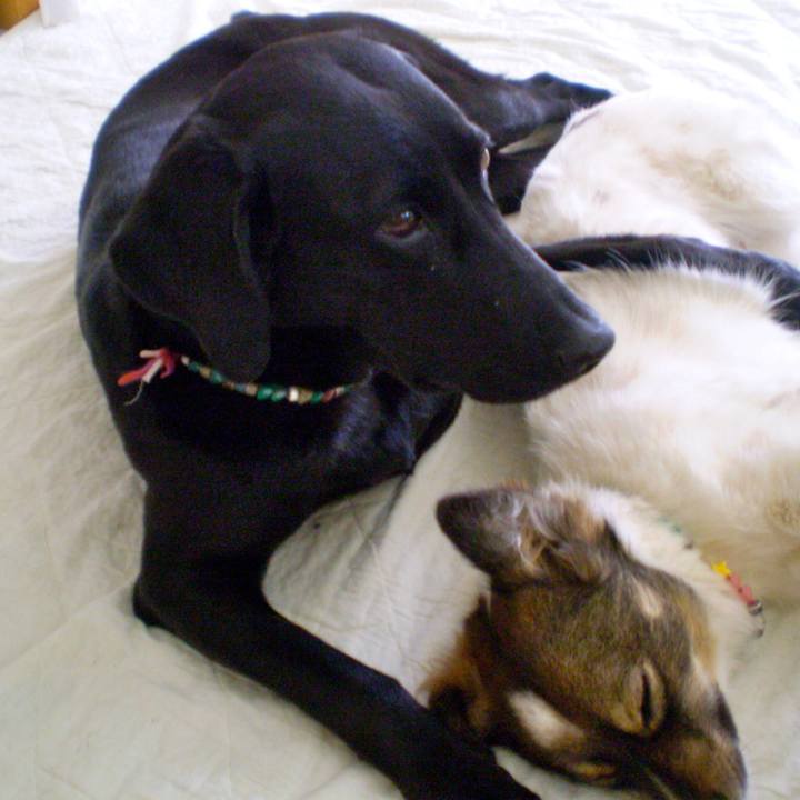 F7424c8e 8198 4c55 ad7b 34b5a38db18d