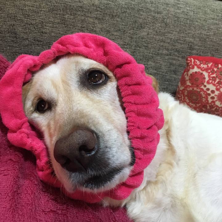 F742a59f a22f 45b9 ae8e d6affeeec797