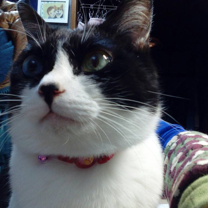 F742c999 7ef2 42e4 8635 bd3d4830e5ea