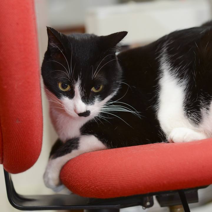 F74325e7 e47c 4066 95c0 047d1bb44c3e