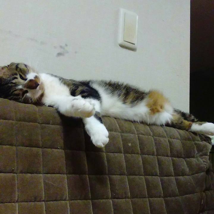 F743684c fa34 4ec5 ad66 94cd13aab0b2