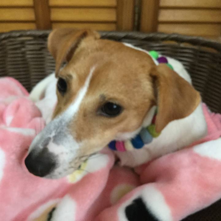 F743d7aa bc0f 4f9e 99fc a13b8ebf6f31