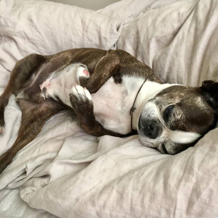 F7440cbc 6799 49e9 8814 e3a41eca8e63