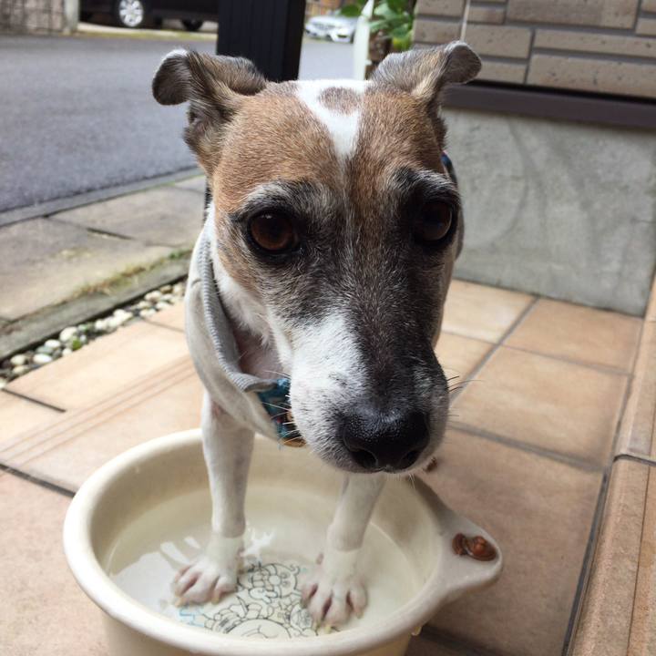 F744b2ec d010 49cb 88ed 0ee8b80f22db