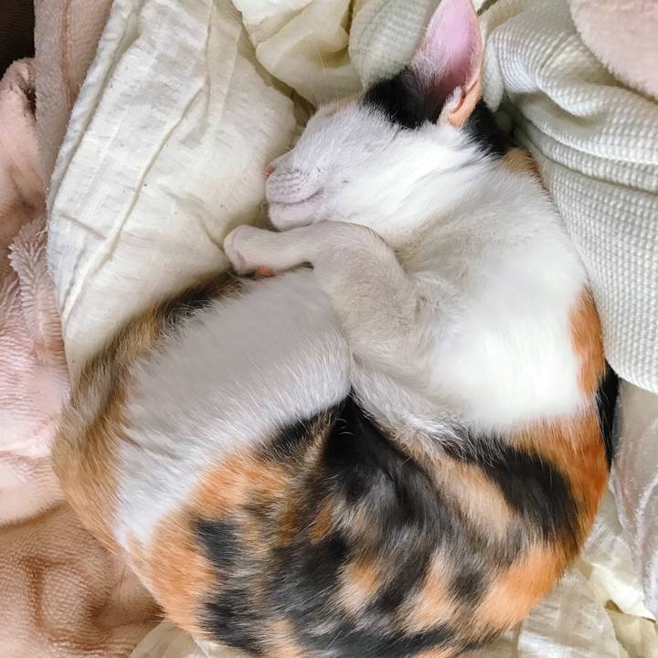 F744ca7d e99b 4656 a568 7759a45c344f