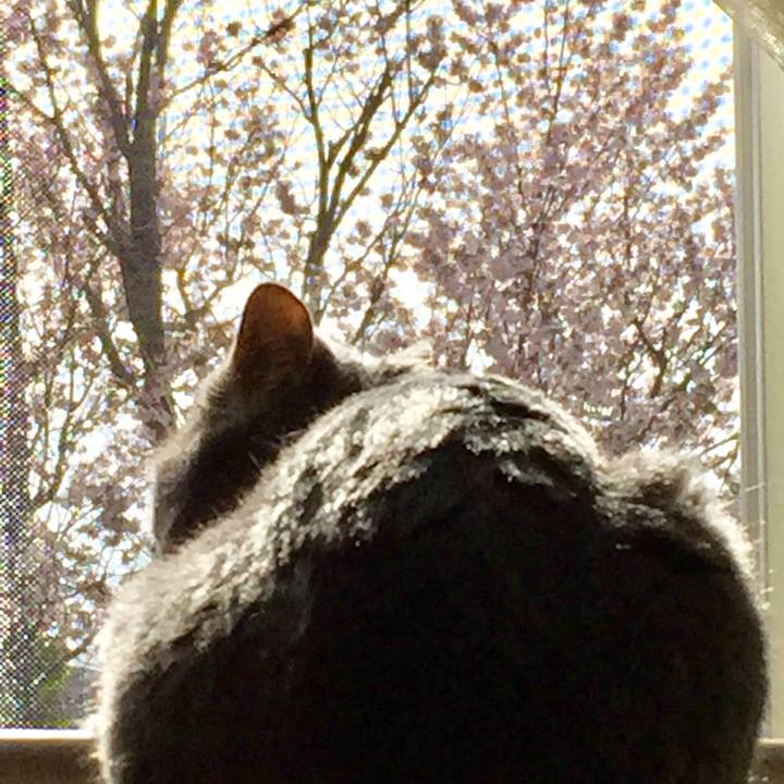 F7459c1c b332 4dbf 8688 786a6cc2edd9