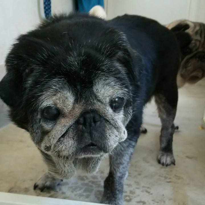 F746a89e 7de8 4231 9e09 6127ca0289bf