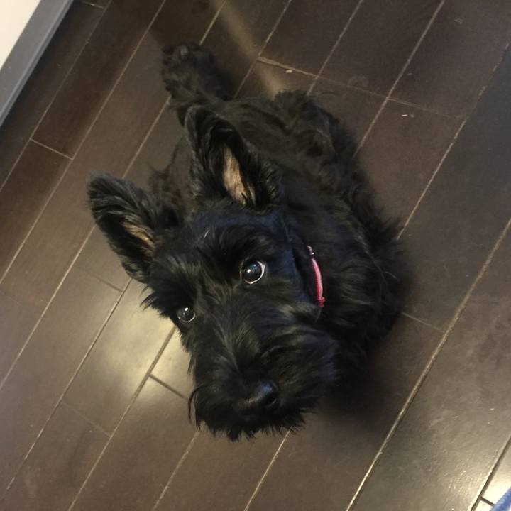 F7472f00 2342 4512 9b3f d43680cb1d18