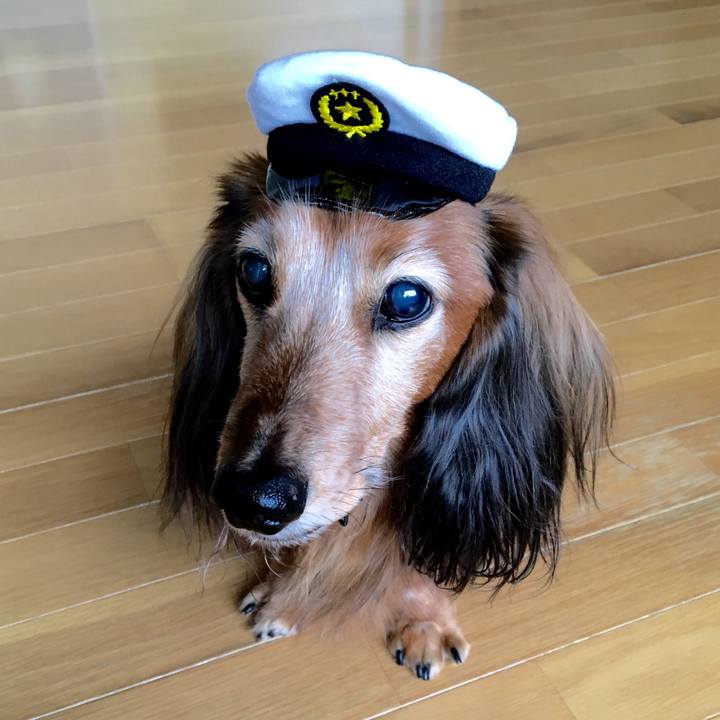 F7476f63 5aa9 43f2 a526 130eec56e8e6