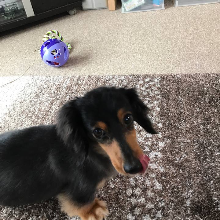 F747cc58 2b58 44c1 959f f90aff468257