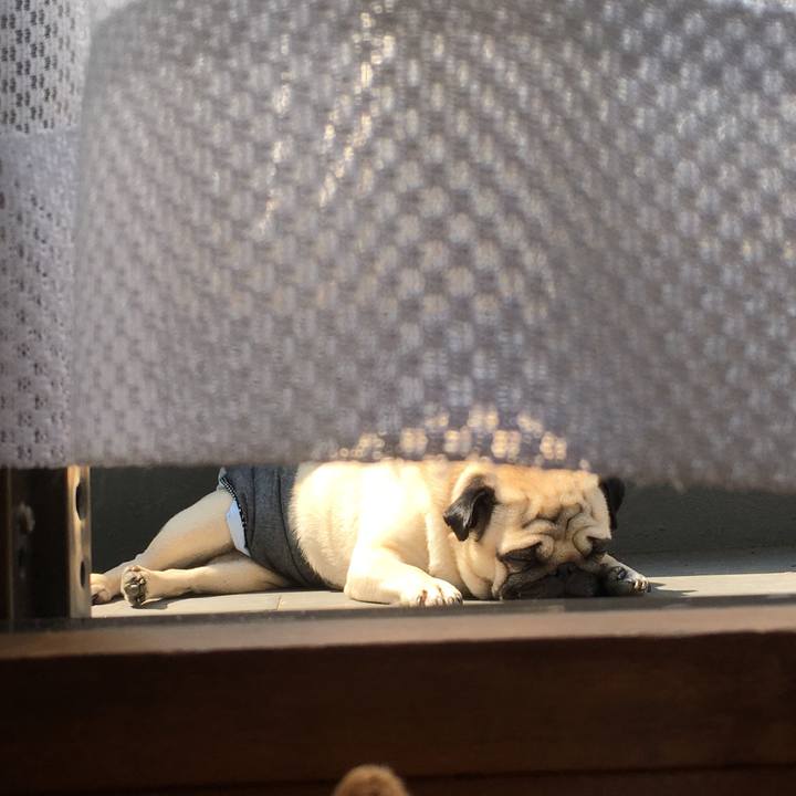 F747f772 b069 4185 88fa ec0b3a5c9657