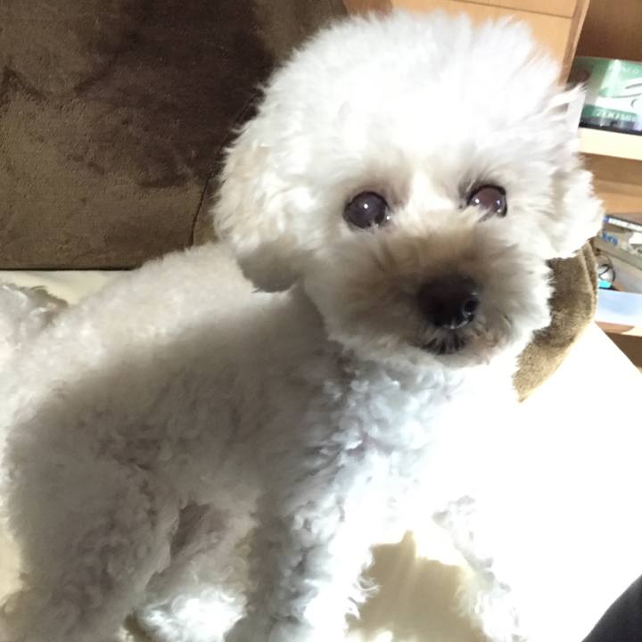 F7493644 eedf 47e3 80e5 d57e99f9ac85