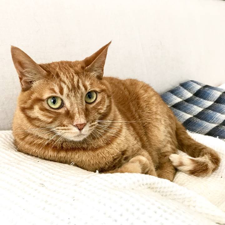 F74944e2 e2a5 4339 ba2b c32d26587555