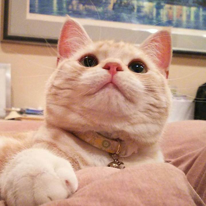 F7494d9f fb74 471a b69a acb3006756b5