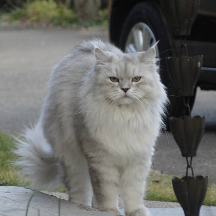 F7496b7f 9627 4b54 8c3e 2f8d4f20418f