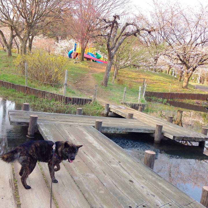 F74990a9 ede6 4be5 9c7f 00e3ad3ac33d