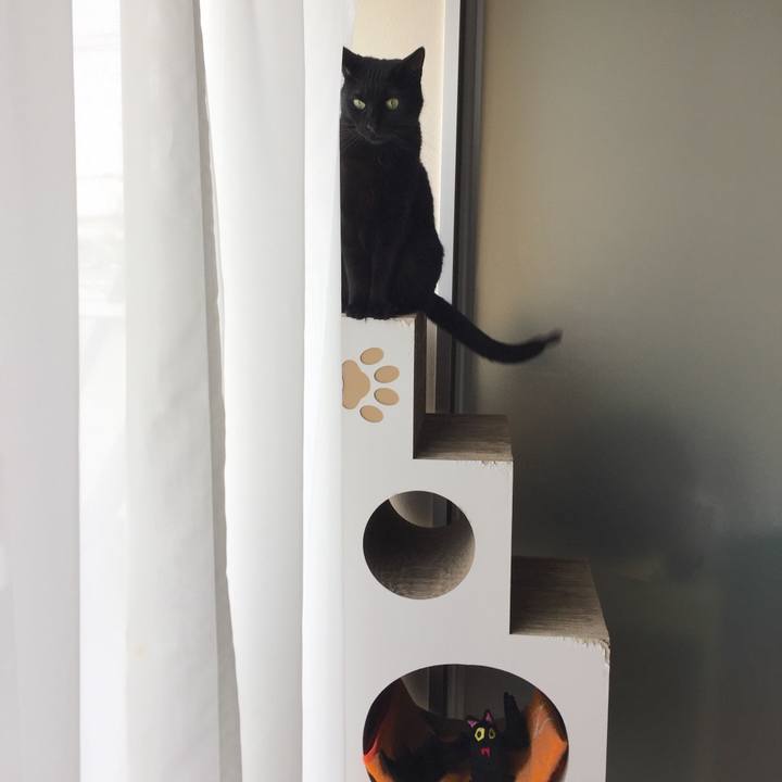 F7499f38 f11c 4e2d 9f4e ebdaba1d517c