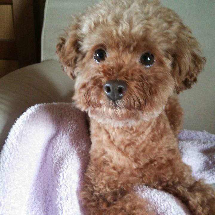 F74a86cf 80ee 4732 a5d3 6f1a5b689ba6