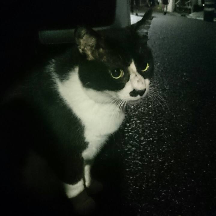 F74ac369 dfeb 464c 9849 4dda27b69626