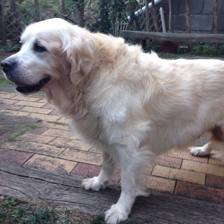 F74af25a 1aa8 424f 9c2e 12af834ea144