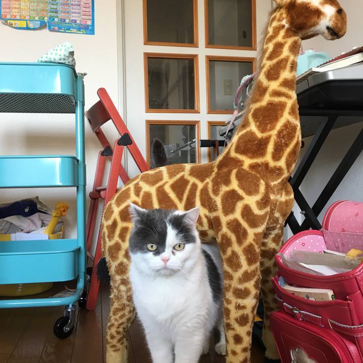 F74af3d5 95f8 4460 85e0 7e4b3f99bdfd