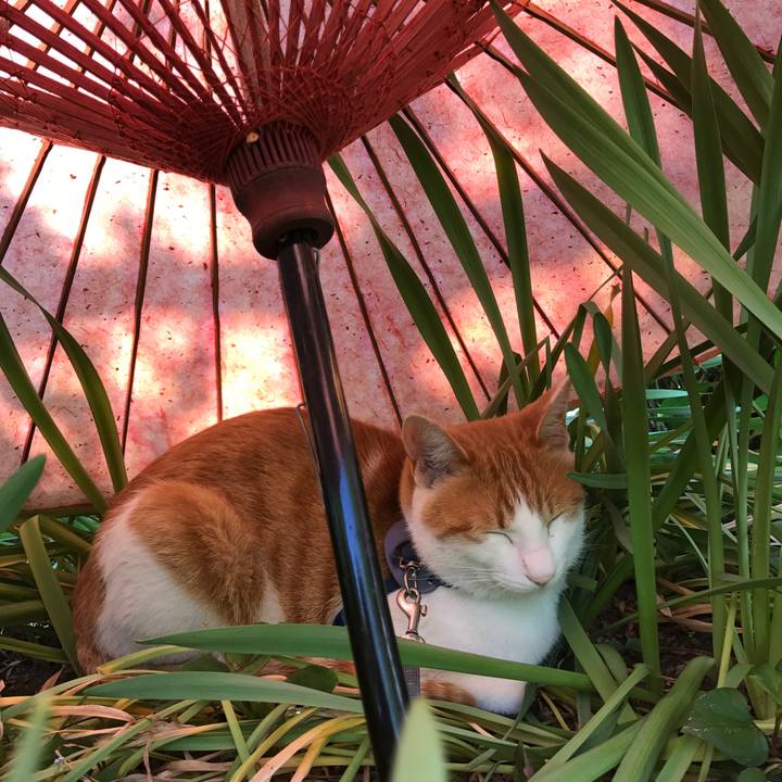 F74afff4 a6f2 411c b3e1 ff5d9fabda95