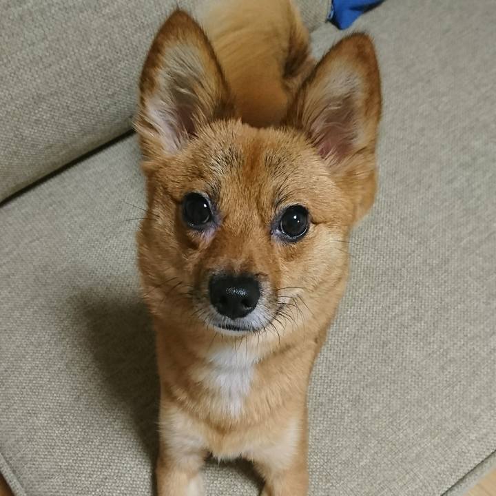 F74b6109 4fcb 43cd bb75 de4be350c462